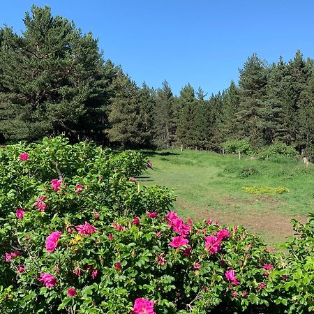 Gite Ranch Le Serpolet レ・ザングル エクステリア 写真