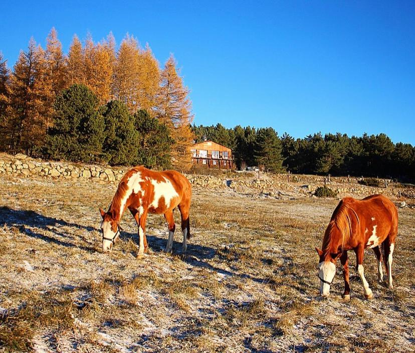 Gite Ranch Le Serpolet レ・ザングル エクステリア 写真