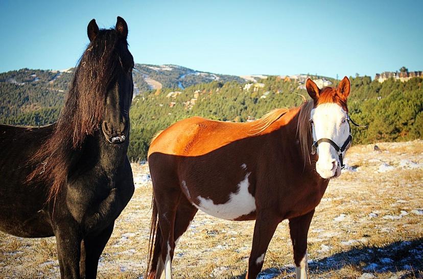 Gite Ranch Le Serpolet レ・ザングル エクステリア 写真