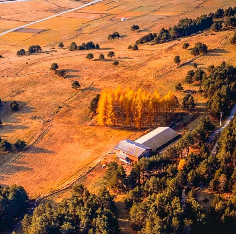 Gite Ranch Le Serpolet レ・ザングル エクステリア 写真