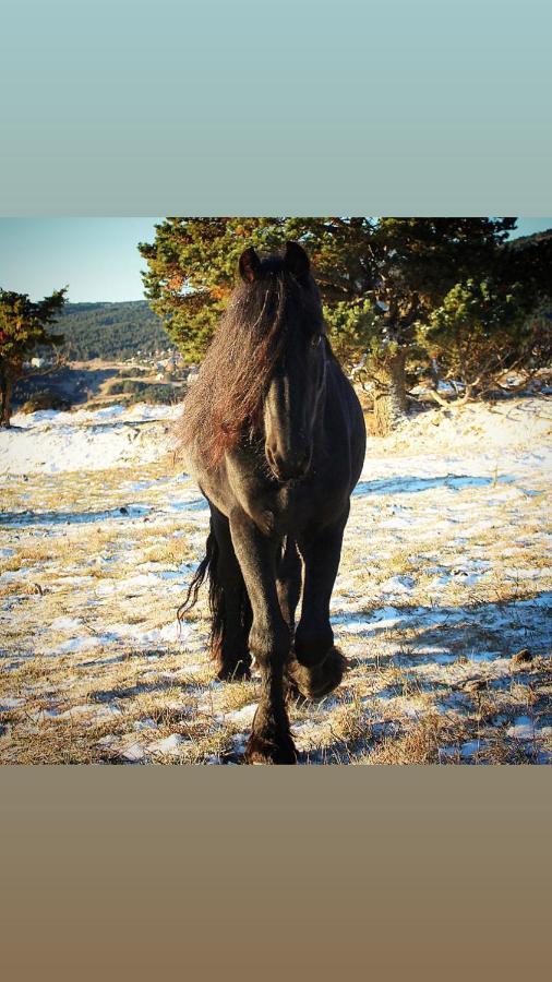 Gite Ranch Le Serpolet レ・ザングル エクステリア 写真