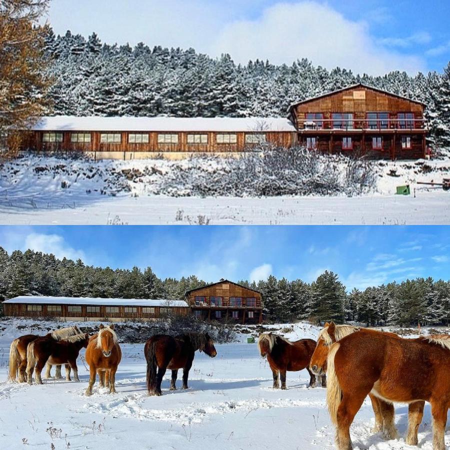 Gite Ranch Le Serpolet レ・ザングル エクステリア 写真