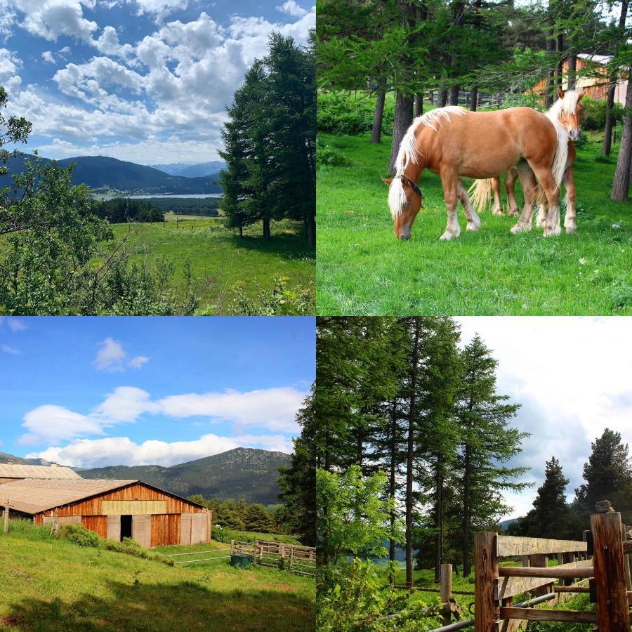Gite Ranch Le Serpolet レ・ザングル エクステリア 写真