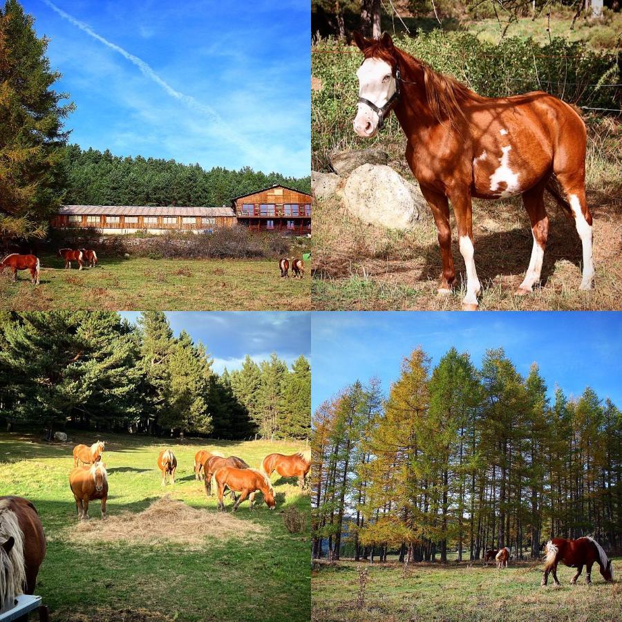 Gite Ranch Le Serpolet レ・ザングル エクステリア 写真