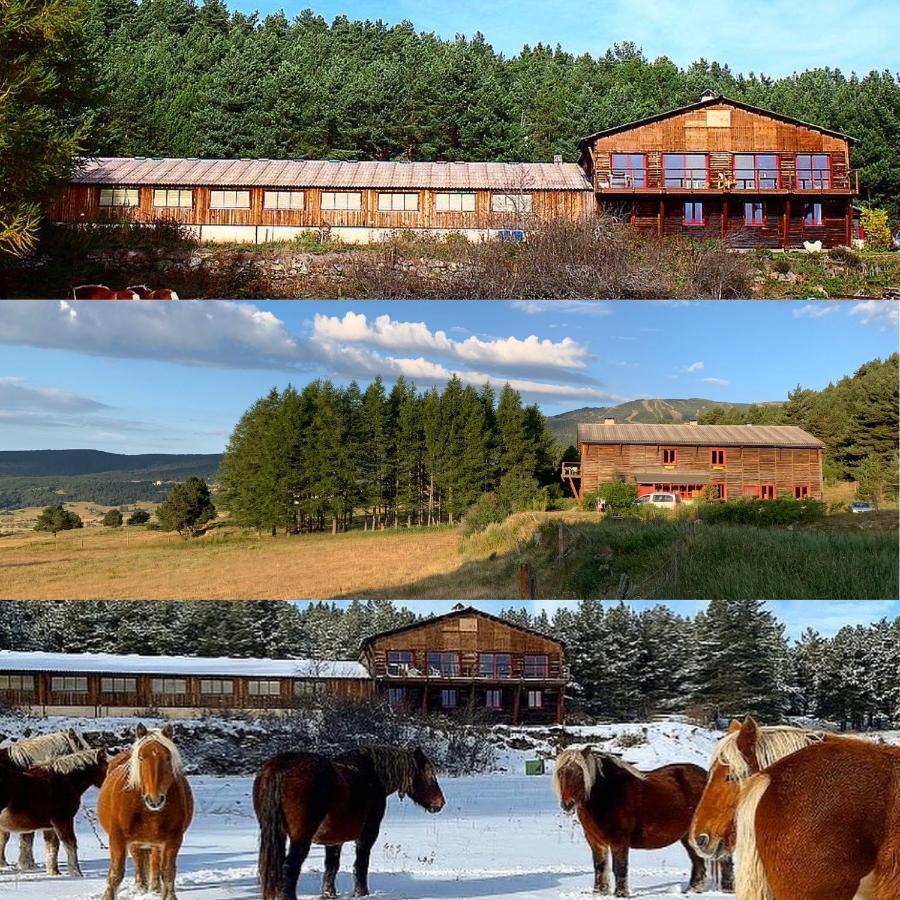 Gite Ranch Le Serpolet レ・ザングル エクステリア 写真