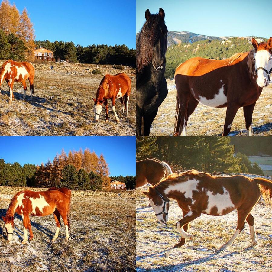 Gite Ranch Le Serpolet レ・ザングル エクステリア 写真