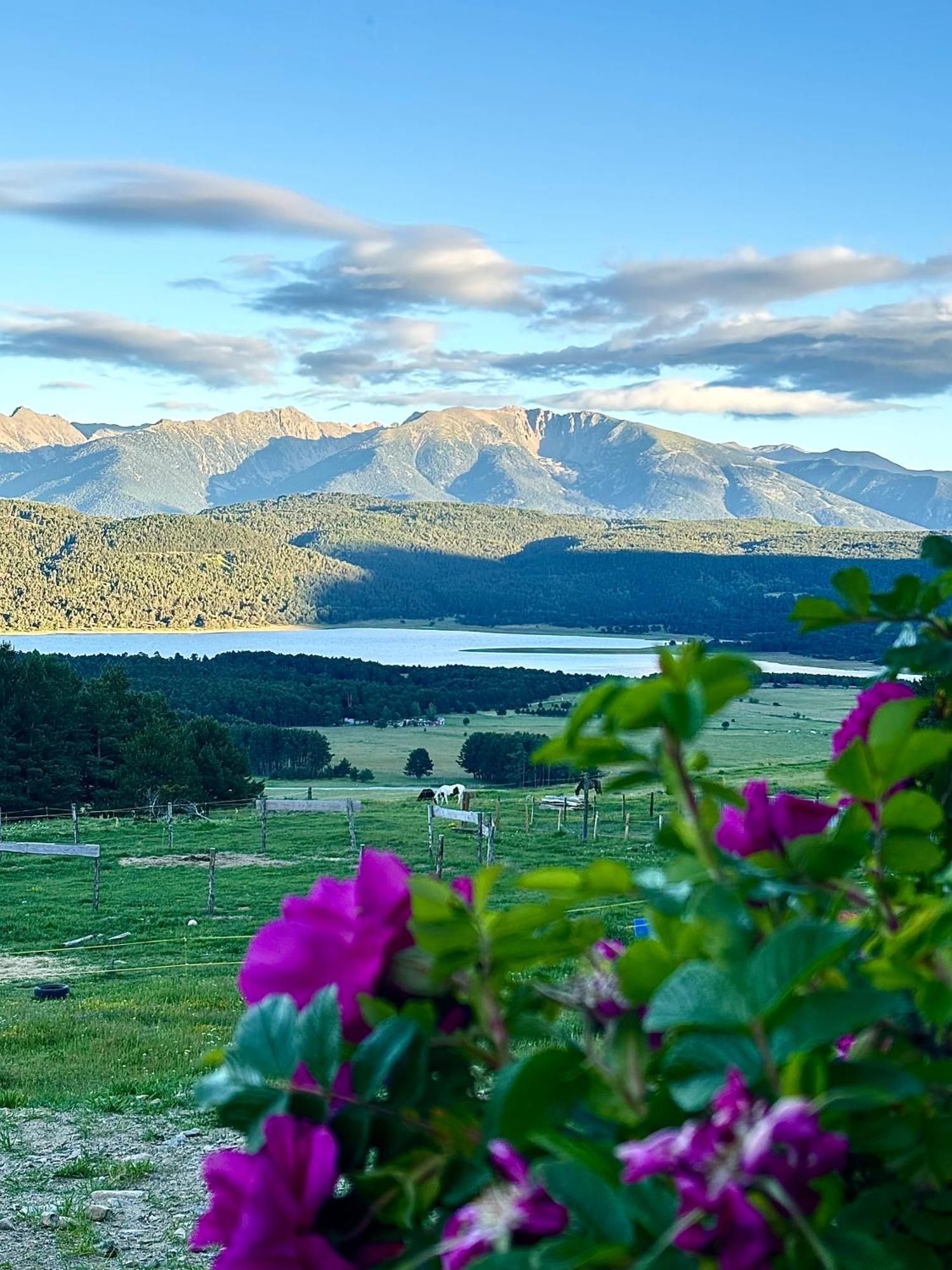 Gite Ranch Le Serpolet レ・ザングル エクステリア 写真