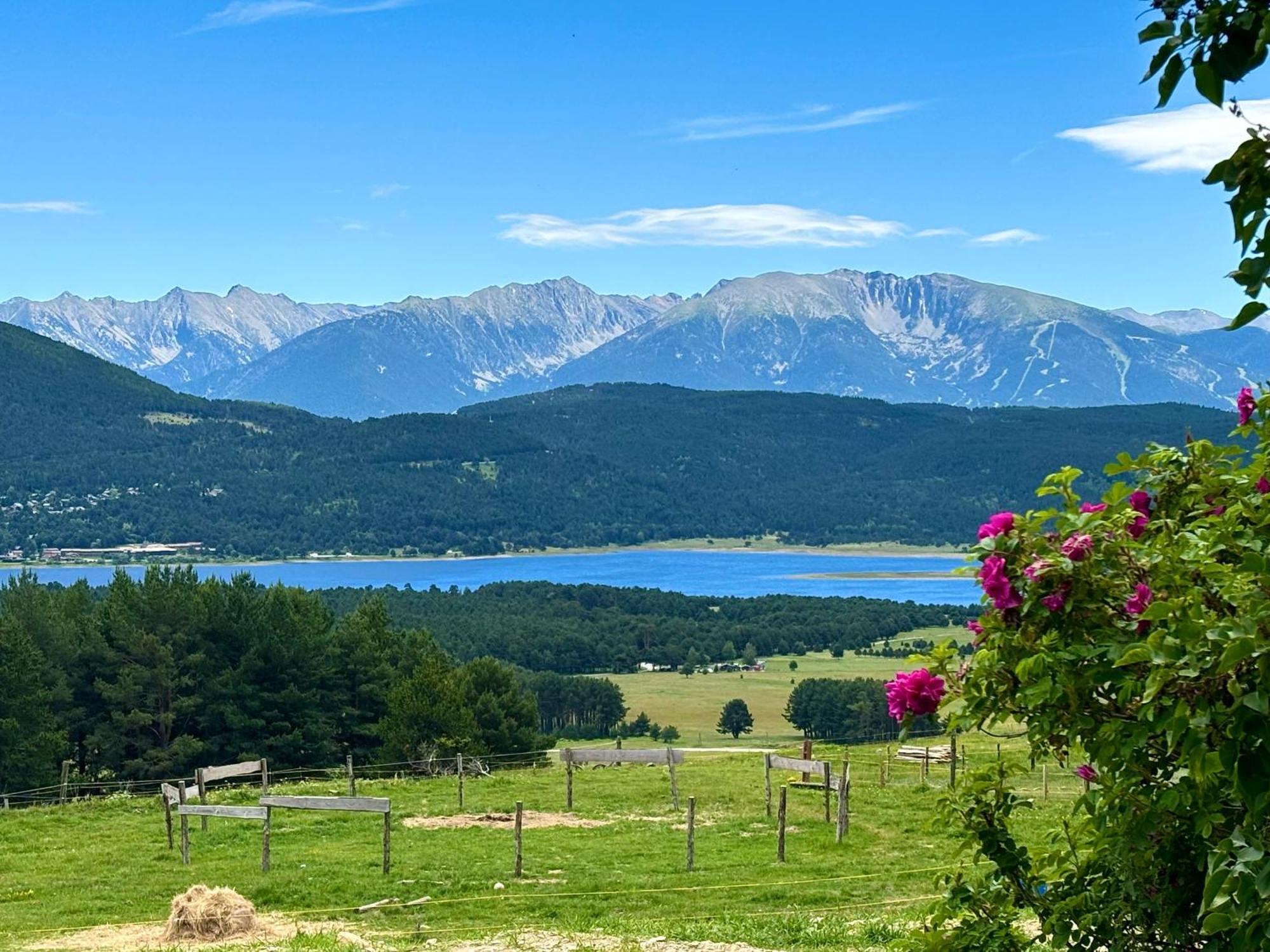 Gite Ranch Le Serpolet レ・ザングル エクステリア 写真