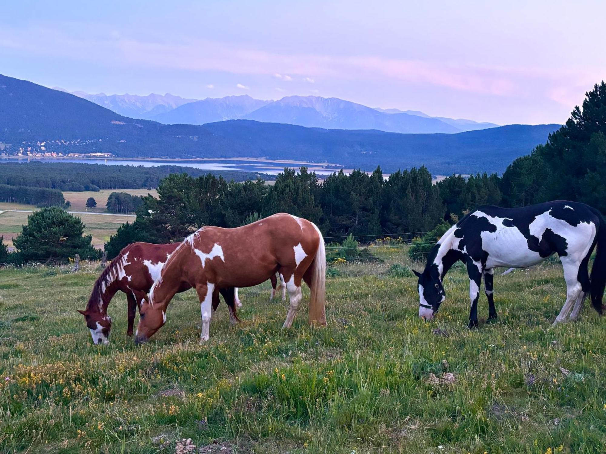 Gite Ranch Le Serpolet レ・ザングル エクステリア 写真